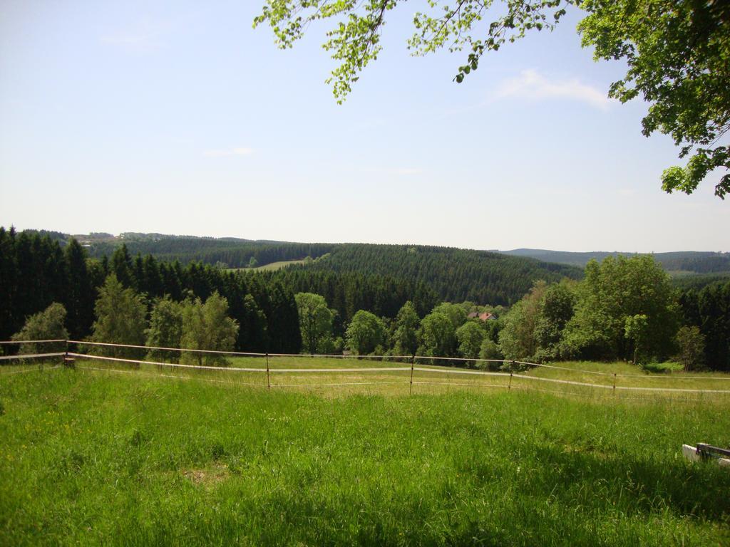 Haus Hohensee Clausthal-Zellerfeld Dış mekan fotoğraf